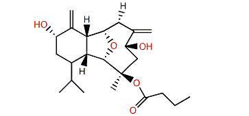 Litophynin H